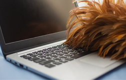 How to Clear Your Browser Cookies